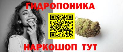 шишки Балаково