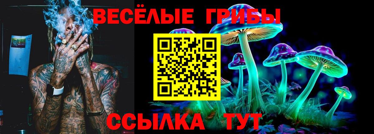 Галлюциногенные грибы прущие грибы  Вход с VPN  Апшеронск 