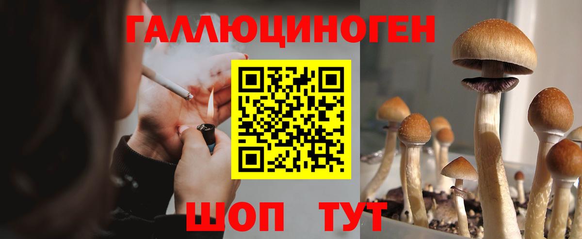 Галлюциногенные грибы ЛСД Апшеронск